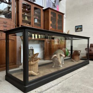 Grand comptoir vitrine de présentation début XXème