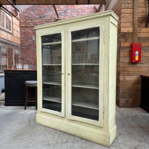 Vitrine médicale début XXème