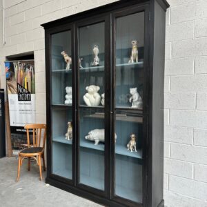 Vitrine de musée fin XIXème