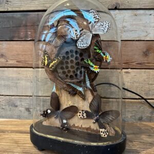 Ancien globe de mariée XIXème transformé en lampe